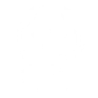 Ikon - medalje
